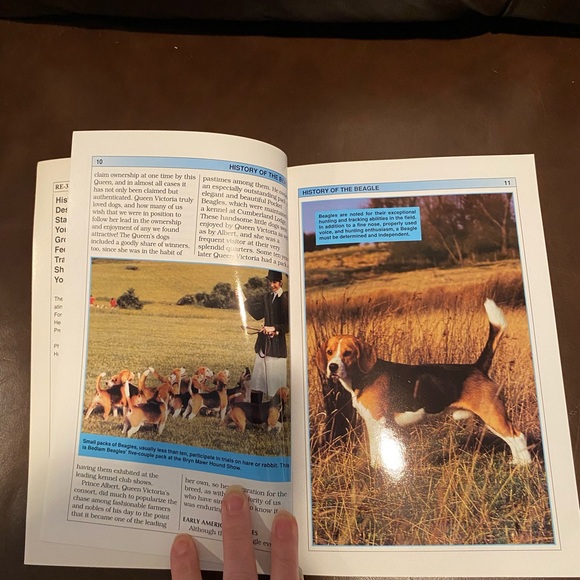 The Guide to Owning a Beagle Book By Andrew Vallilla full color - Picture 6 of 12